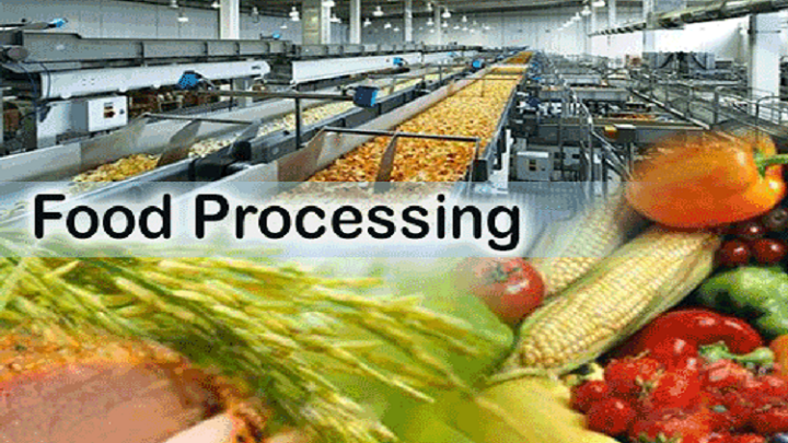 is food science and processing technology marketable in kenya
