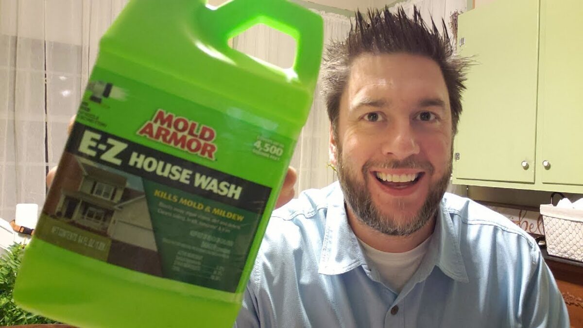 The Best Roof Cleaners for Mold