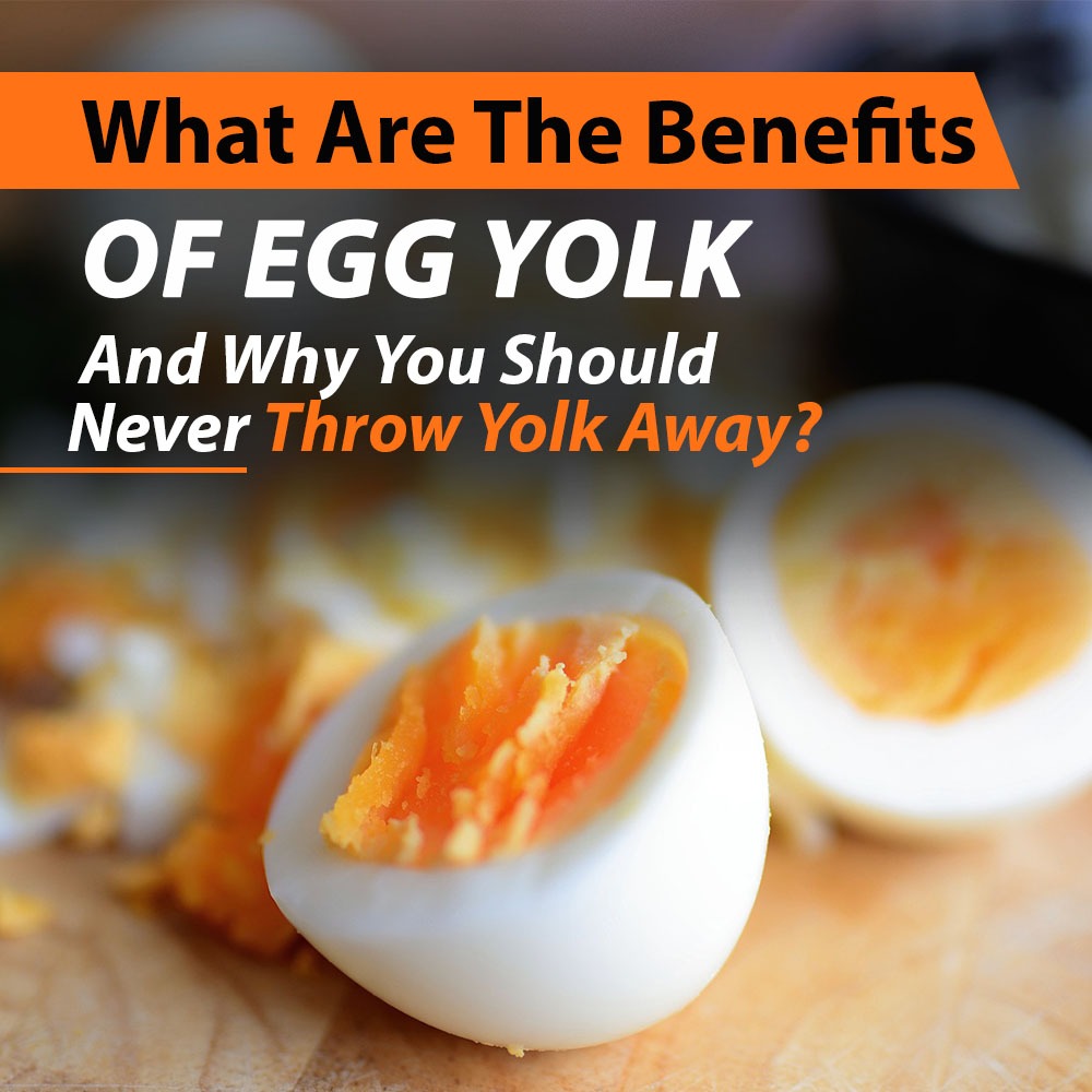 What Are the Benefits of Egg Yolk and Why You Should Never Throw Yolk Away