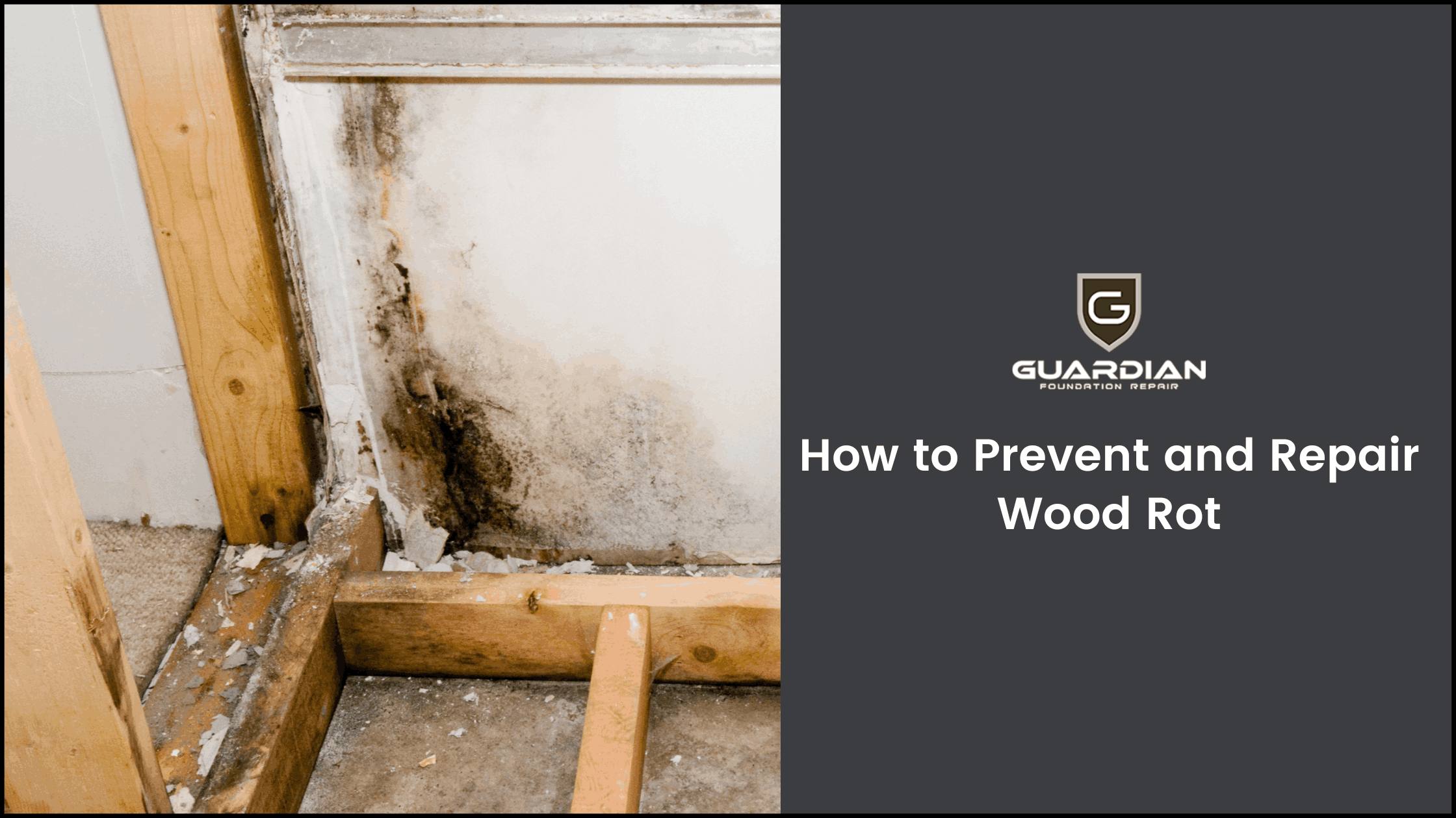 How to Prevent and Repair Wood Rot AtoAllinks