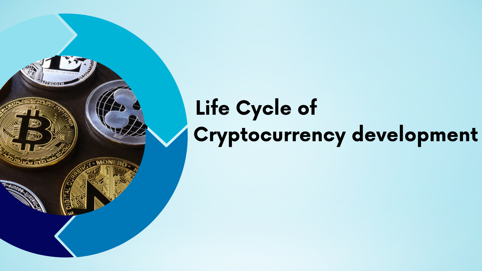 cryptocurrency lifetime