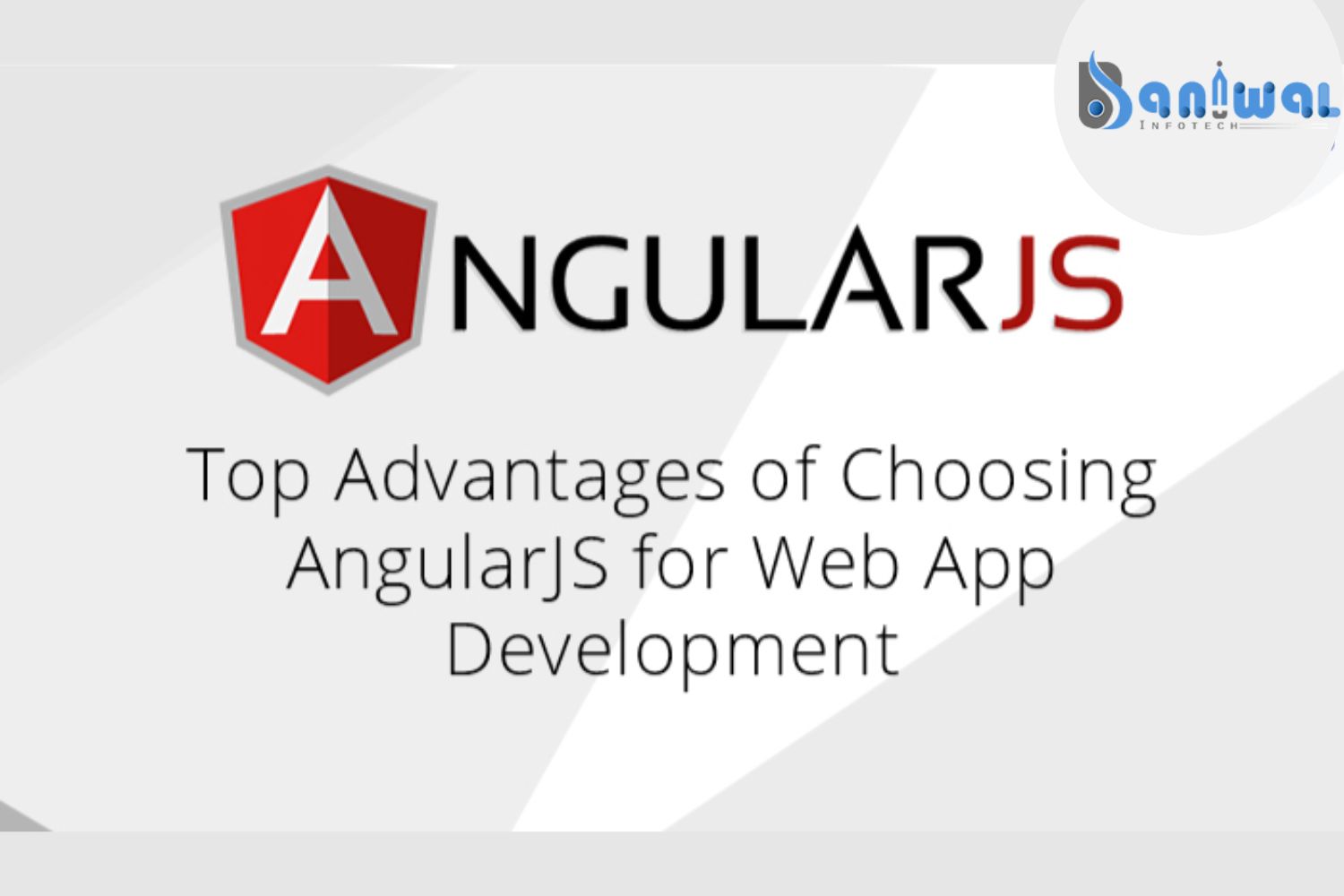 Angularjs web development services