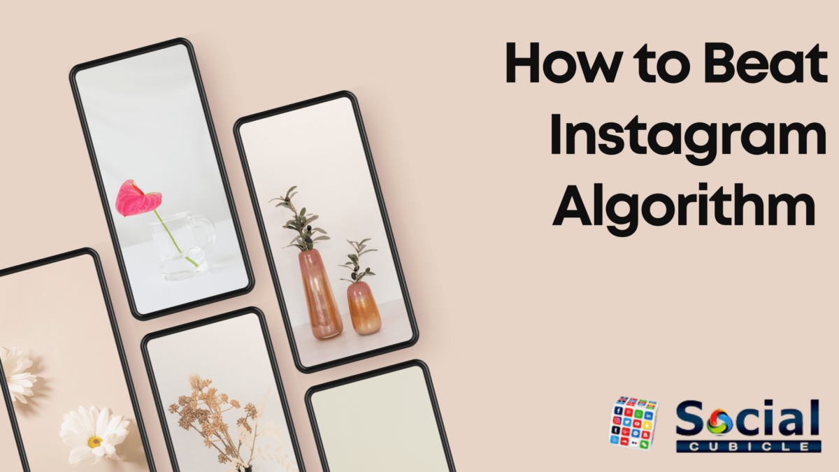 Instagram Algorithm How it Works and How to Beat It AtoAllinks
