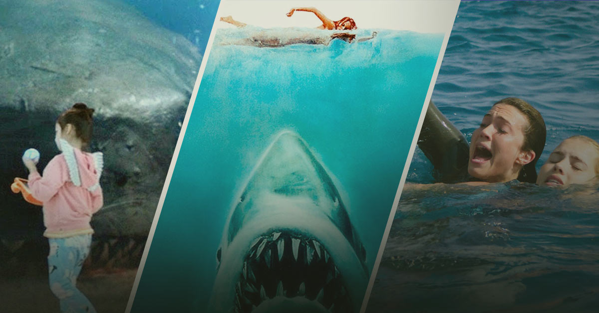 Shark Movies The Evolution of a Thrilling Genre AtoAllinks