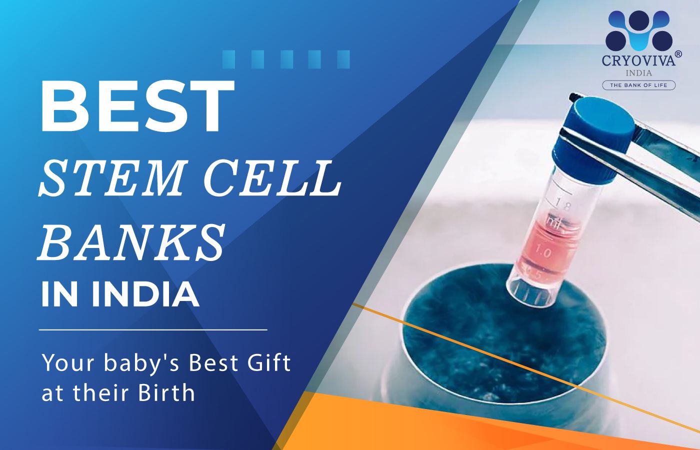 List Of Best Stem Cell Banks In India Atoallinks