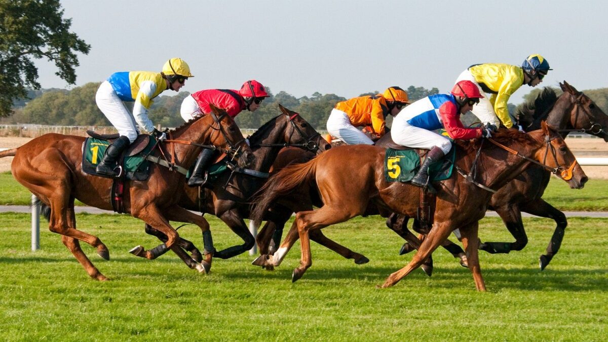 A Beginner’s Guide to Race Horse Syndication: Your Key to Ownership