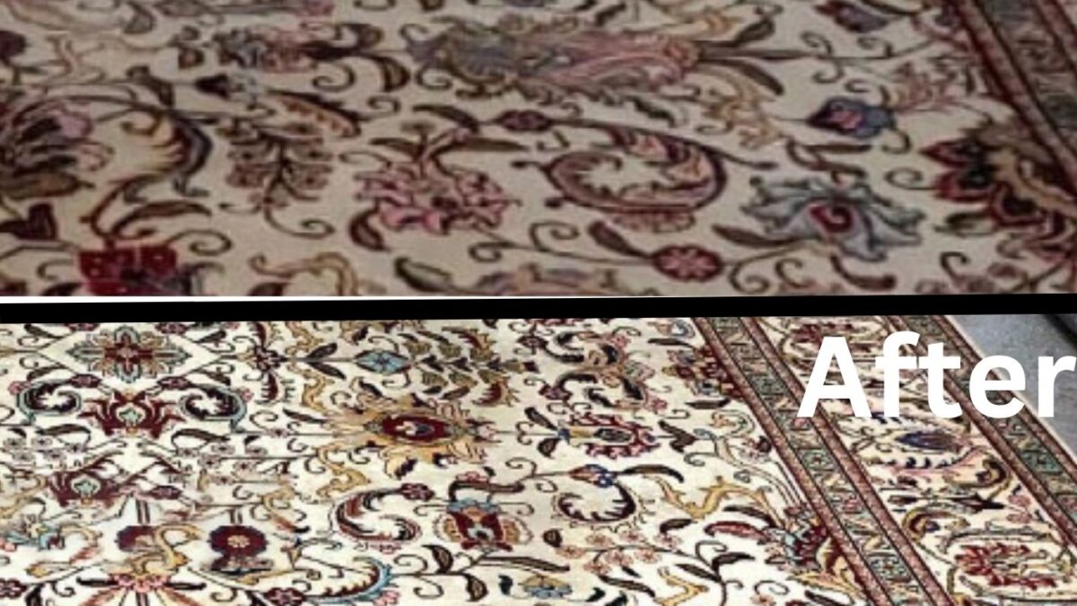 The Importance of Professional Carpet Cleaning in Canberra