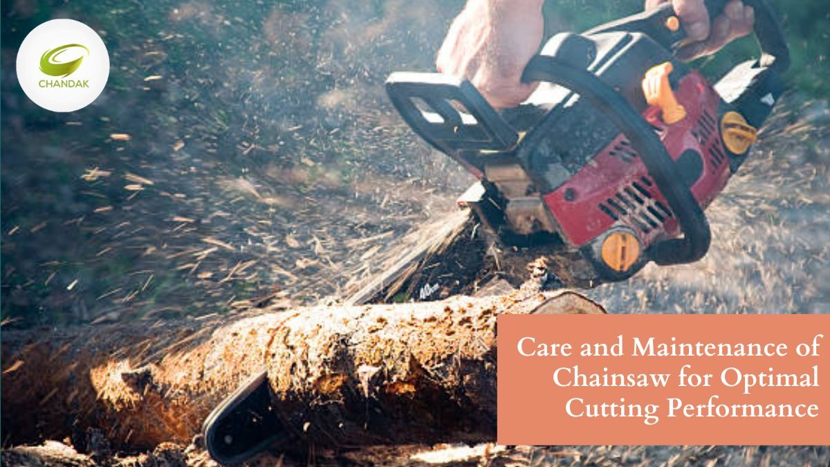 Care and Maintenance of Chainsaw for Optimal Cutting Performance