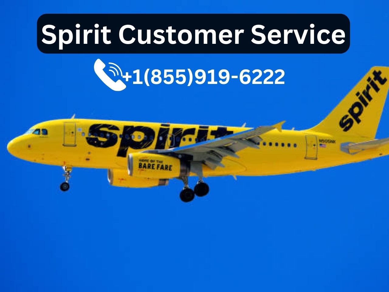 How to Speak Spirit Airlines Customer Service Via Phone? AtoAllinks