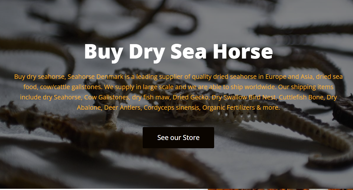 Buying Seahorses Online with Confidence