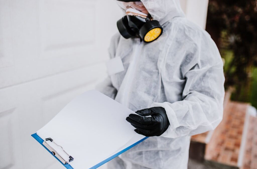 Pest Control for Businesses: Keeping Your Workplace Pest-Free