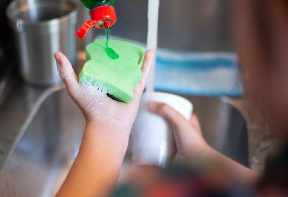 Sustainable Suds: The Emergence of Eco Dishwasher Detergents