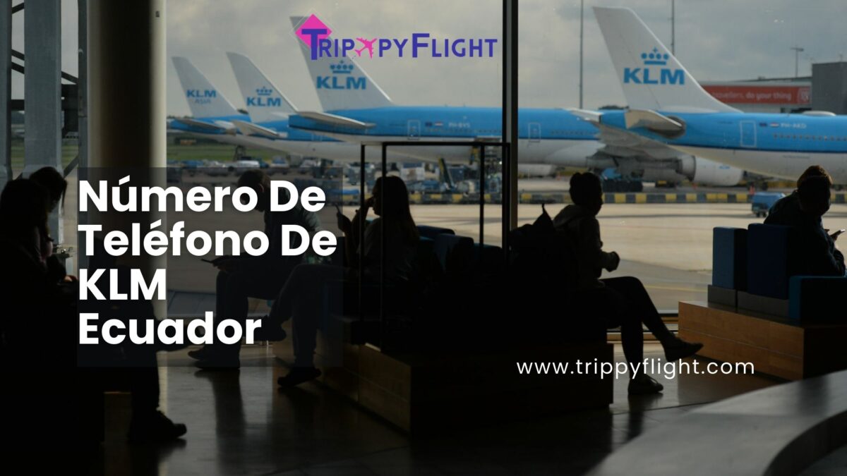 Volar Ecuador KLM: Experiencia, Seguridad y un Teléfono Siempre Disponible para Ti