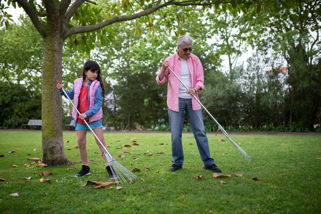 A girl raking dried leaves with her grandfather in a community park