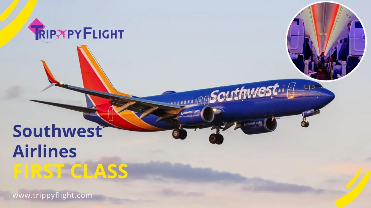 Elevate Your Travel Experience with First Class Seating on Southwest Airlines
