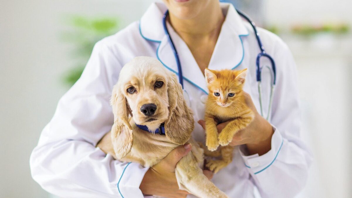 The Costs of Pet Ownership: Why Pet Insurance is Essential