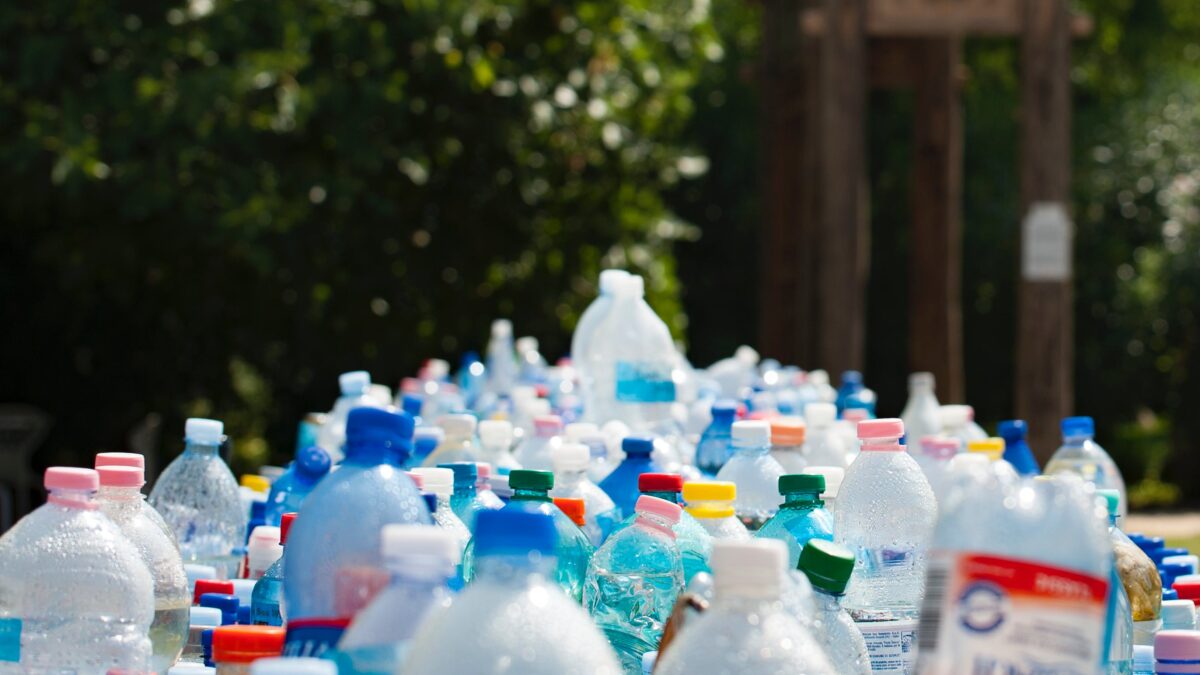 Cracking the Code of Bottle Depots: Exploring How Recycling Really Works