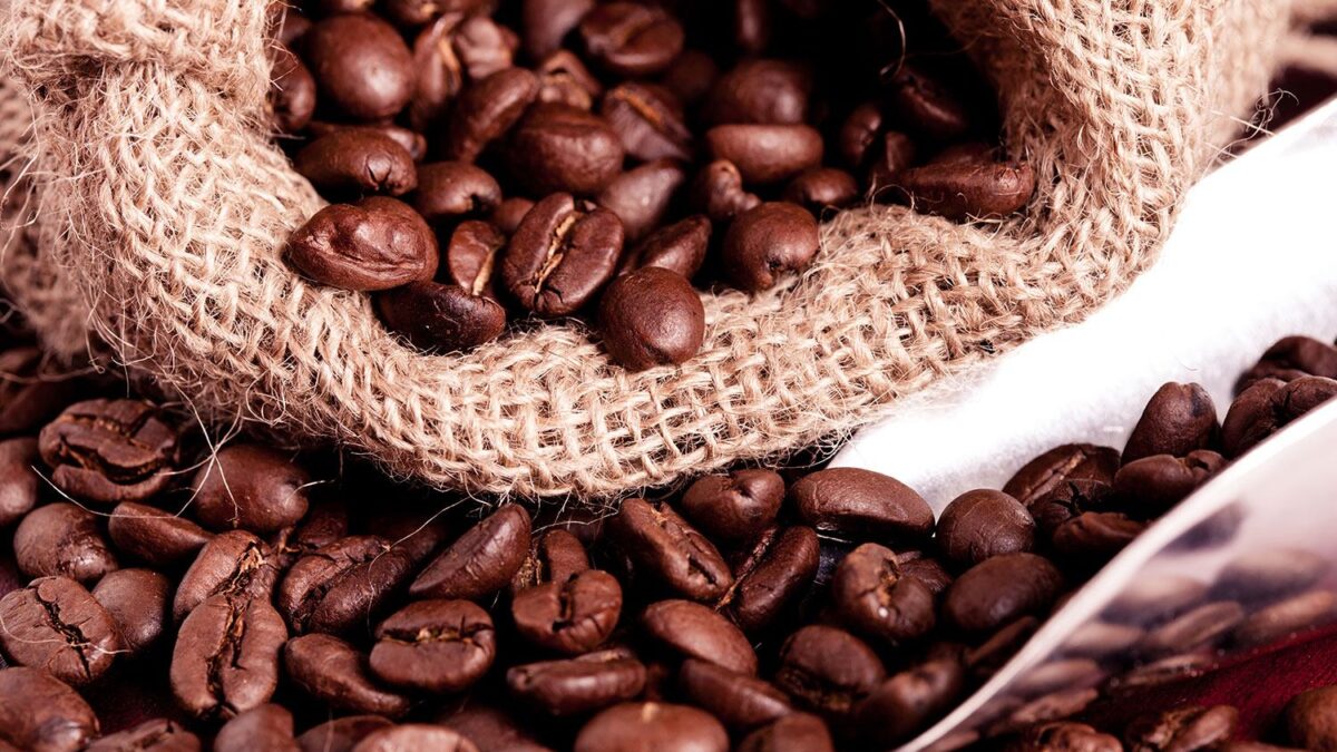 What Services Do Wholesale Coffee Suppliers Offer?