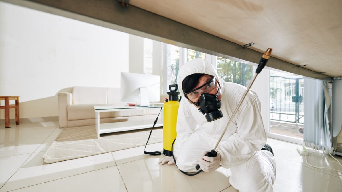 10 Effective Pest Control Services in Delhi to Keep Your Home Pest-Free