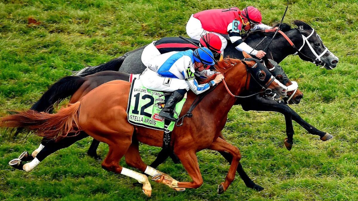 The Crucial Role of Digital Asset Management  Strategies in Race Horse Syndication