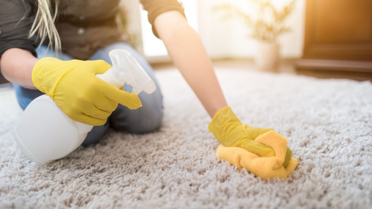 Managing the Mess: Carpet Cleaning Tips for Busy Families