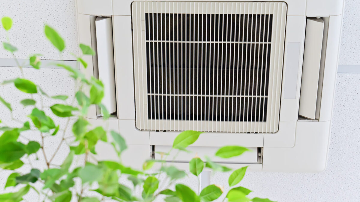 How Does Indoor Air Quality Impact Your Health and Comfort?