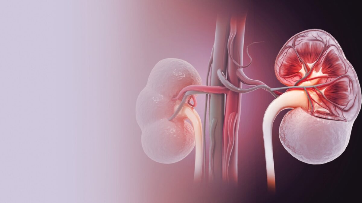 Tips for Traveling to India for Kidney Transplant Treatment