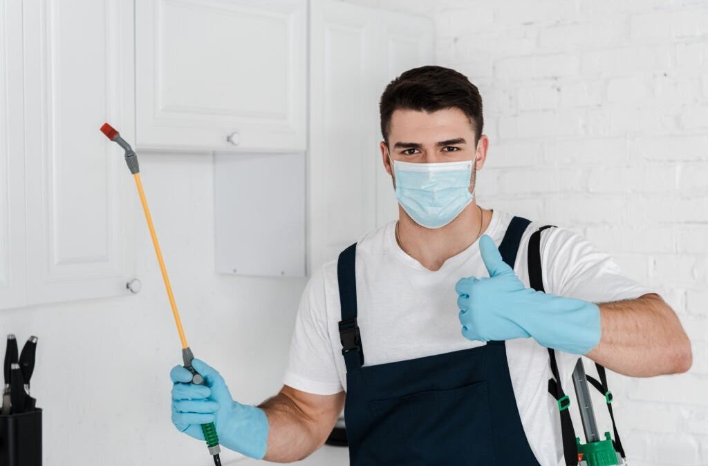 Pest-Proofing Your Property: Tips for Preventing Future Infestations