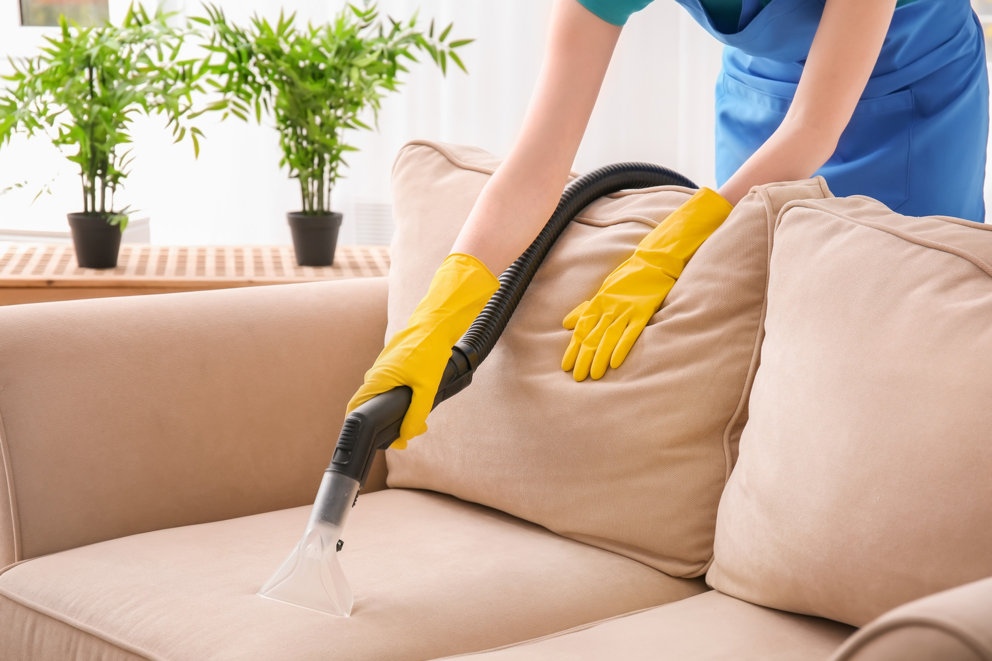 Upholstery Cleaning Services in North Palm Beach FL