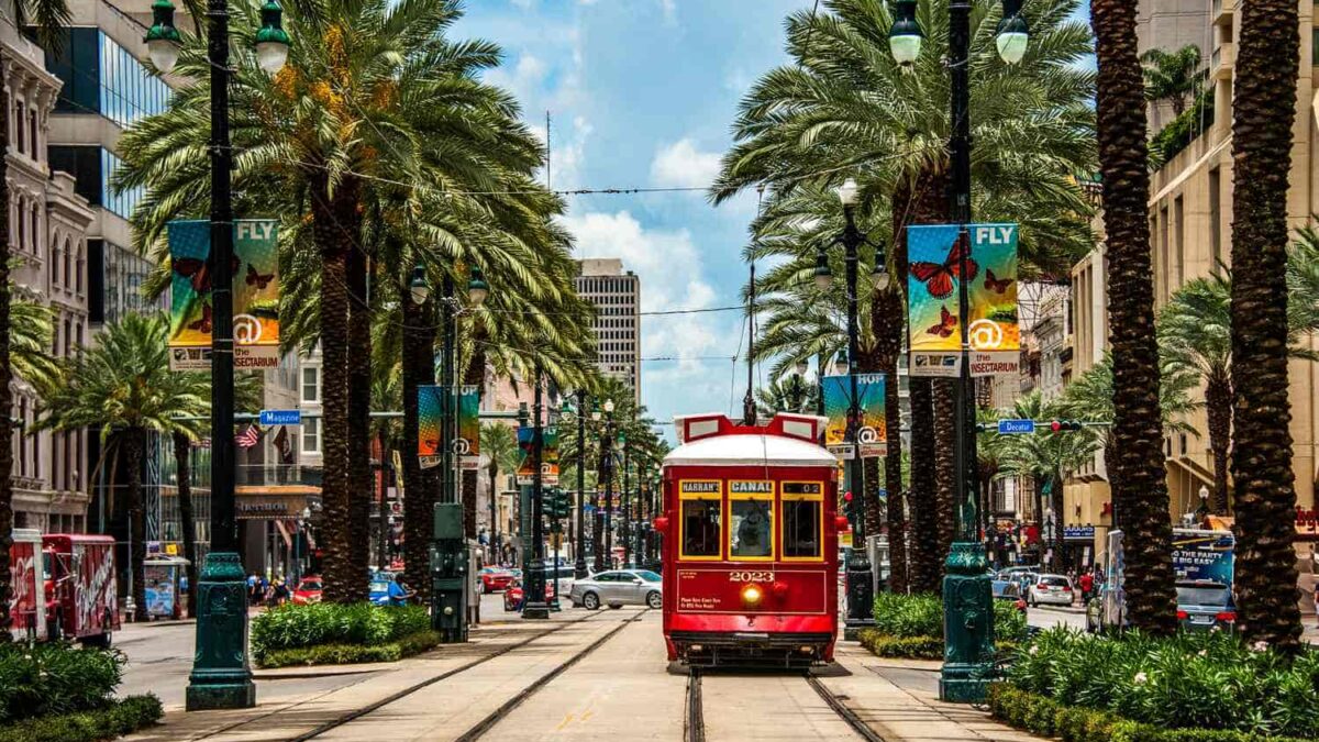 Discover New Orleans through The New Orleans Times