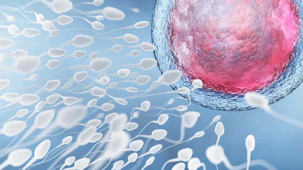 Semen Analysis Importance Fertility Treatment