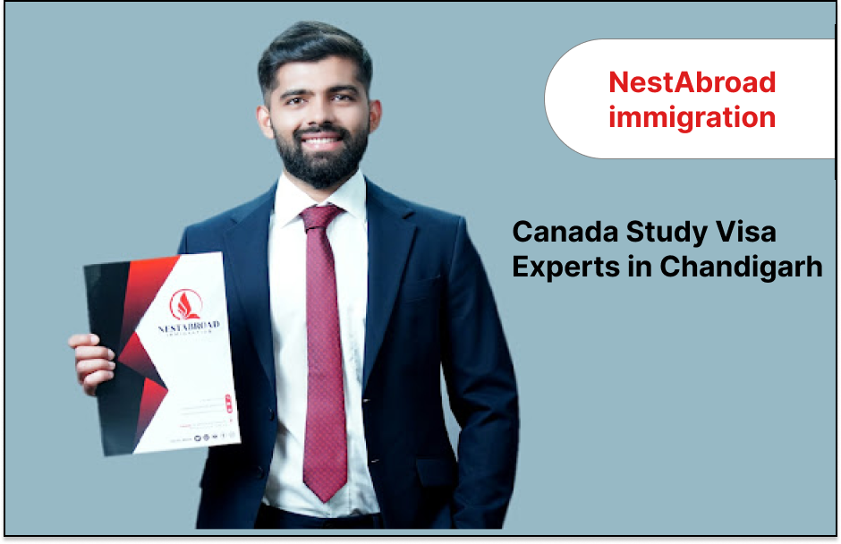 Canada Express Entry in Chandigarh- Nestabroad Immigration