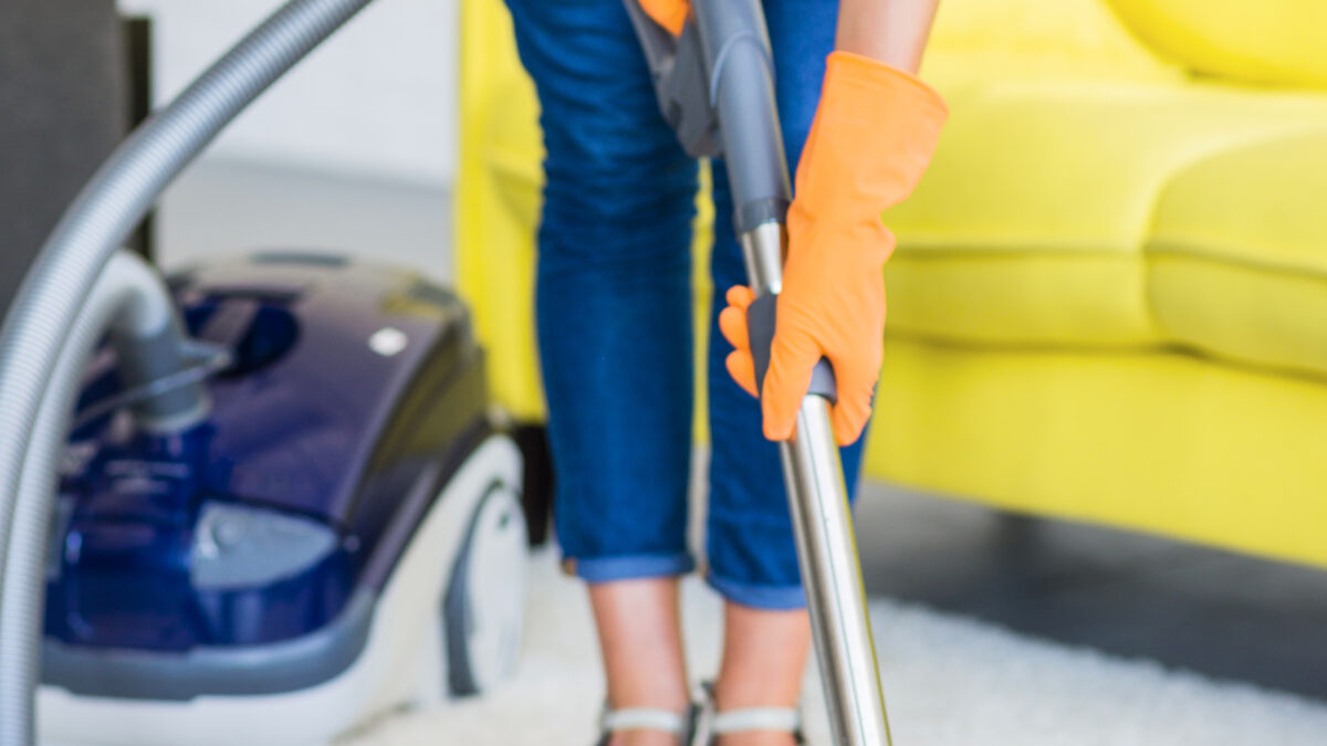 How Professional Cleaners in Palmetto Brings Back Life to Your Carpets