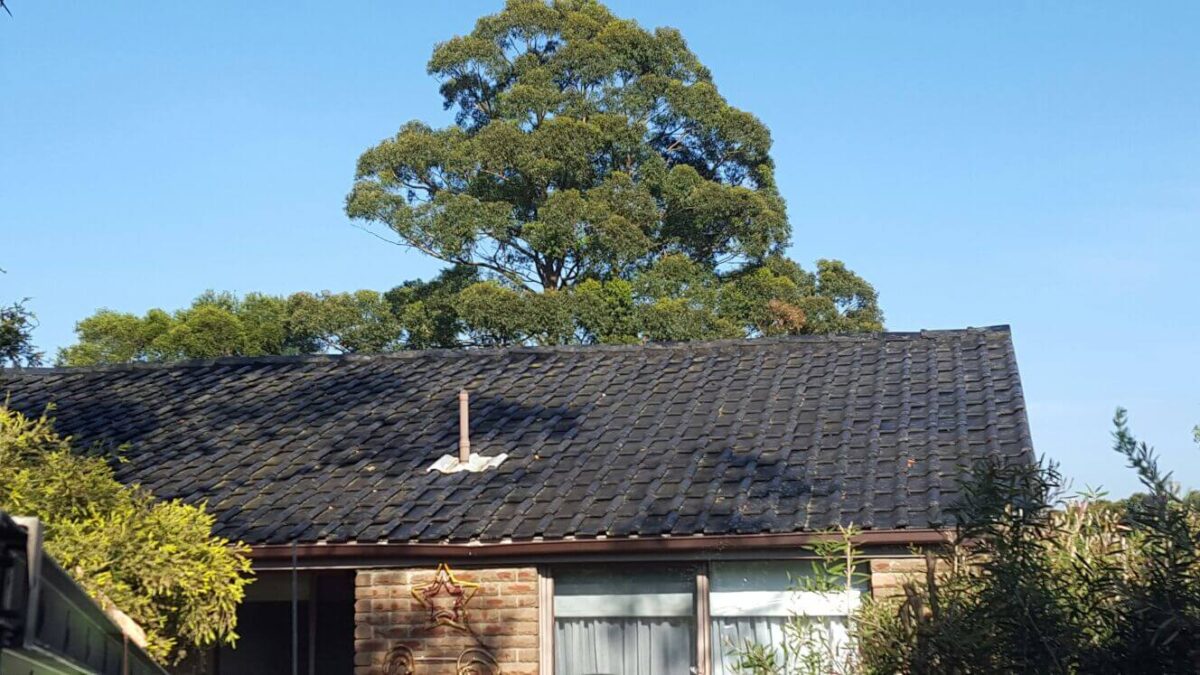 Revitalize Your Home with Expert Roof Painting in Sydney