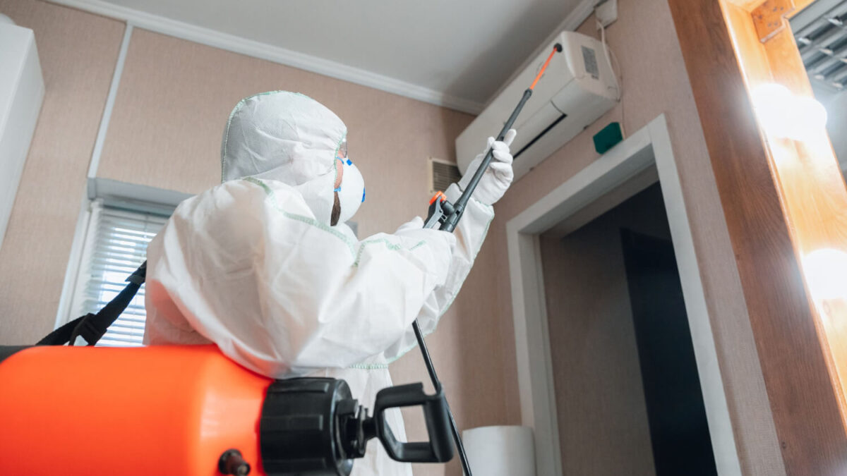 The Ultimate Guide to Pest Control Services in Delhi: How to Keep Your Home Bug-Free