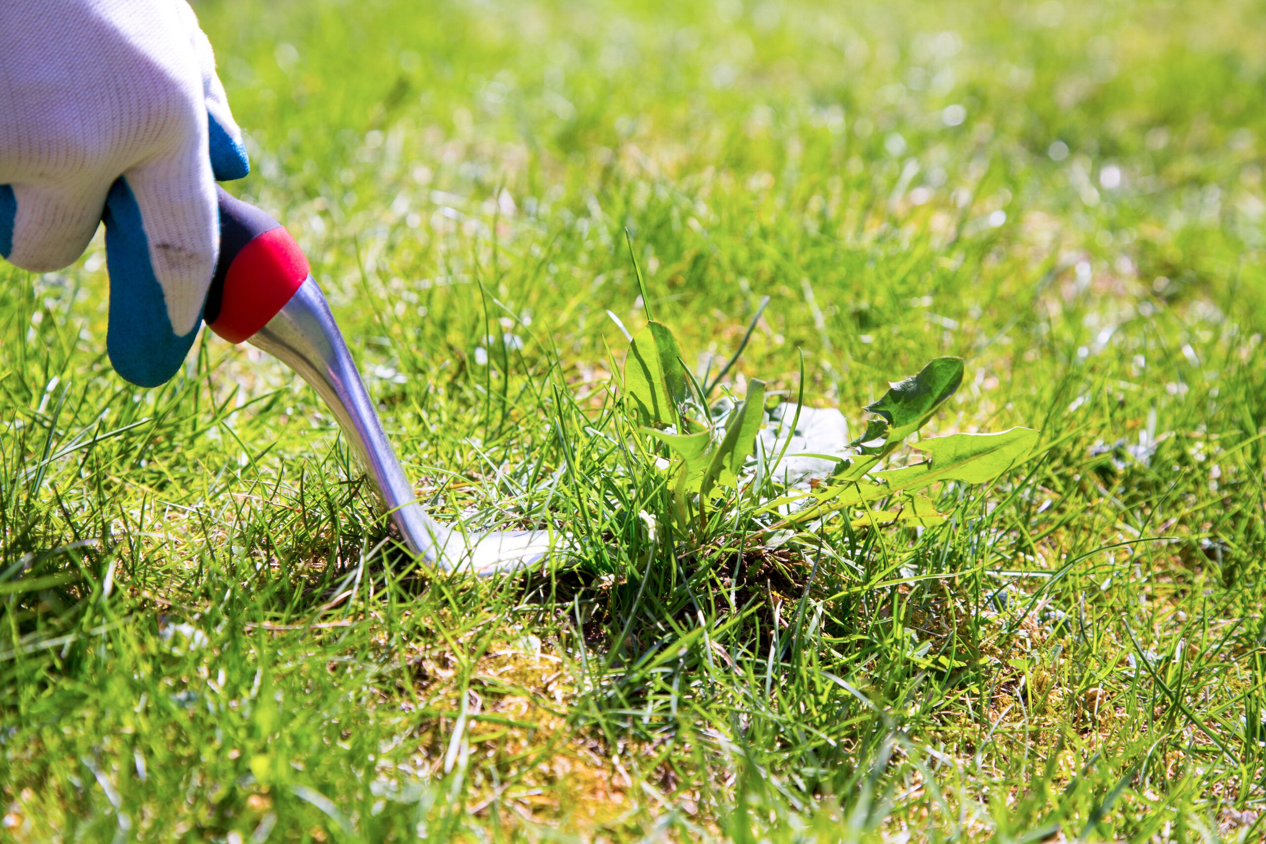 Weed Control Services in Miramar FL