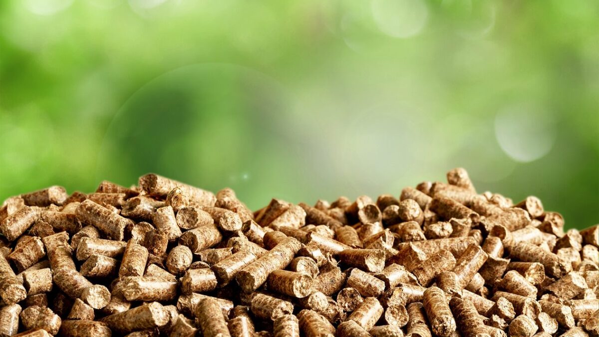 From Biomass to Energy: The Role of Pellets in Sustainable Fuel