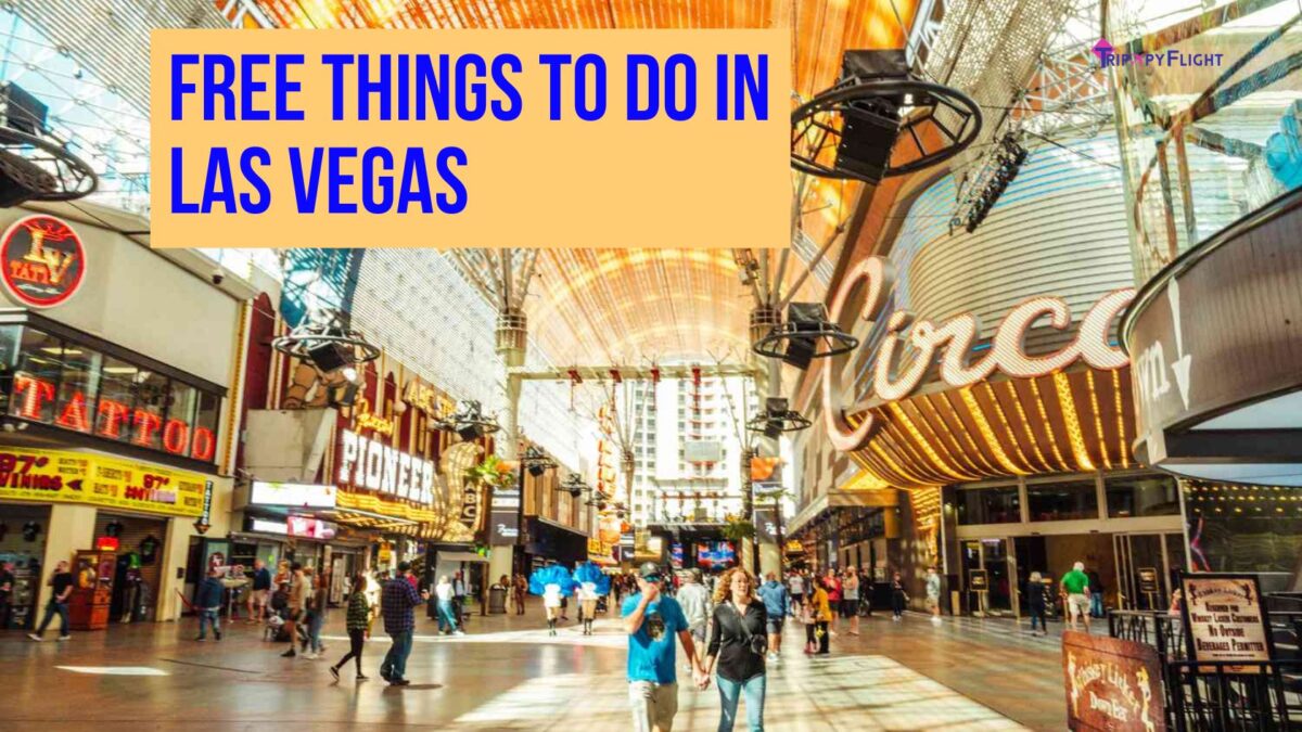 5 Free Reasons Why Las Vegas Should Be Your Next Budget Getaway