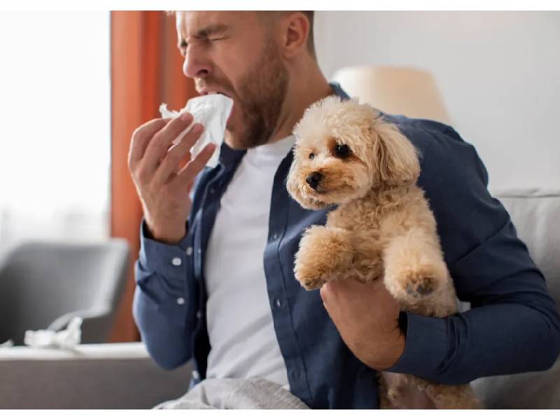 remedios caseros para la alergia a perros