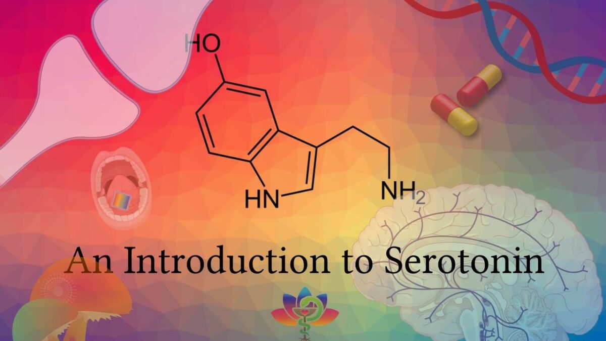 5-HT Receptors: Roles, Functions, and Their Connection to Depression