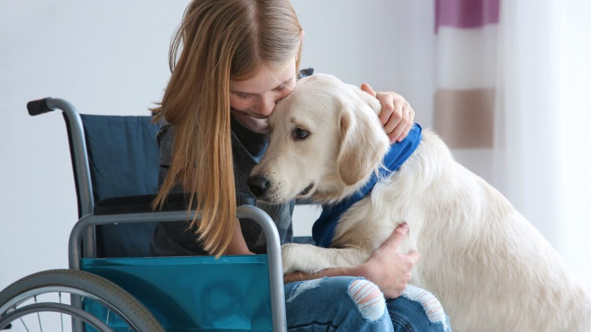 The Role of a Psychiatric Service Dog in California: A Life-Changing Companion