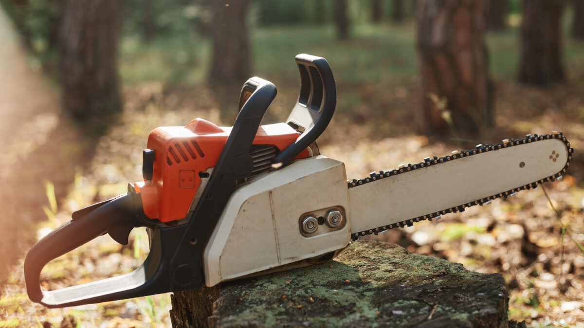 Chainsaw Guide Bar Selection | Key Factors for Optimal Performance