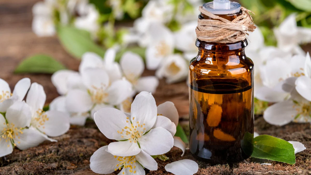 Jasmine Essential Oil: The Floral Elixir for Beauty and Wellness