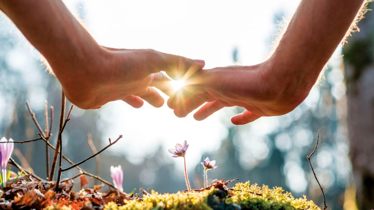 Reconnect with Nature: The Healing Power of Earthing