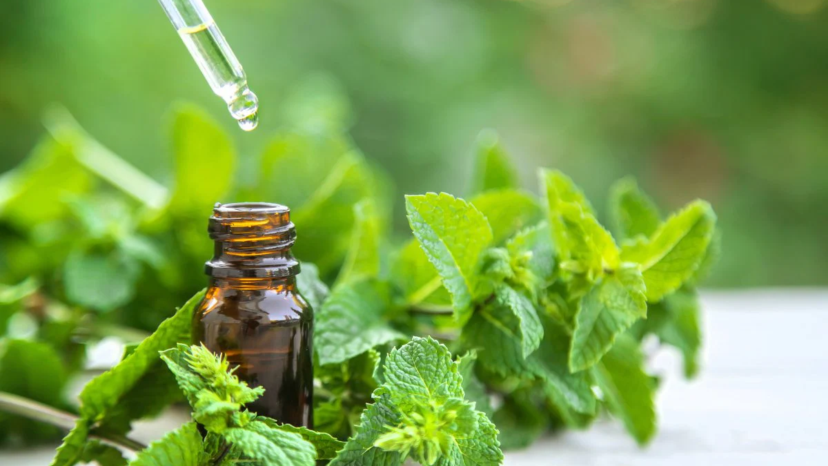 Peppermint Essential Oil: A Refreshing Boost for Body and Mind