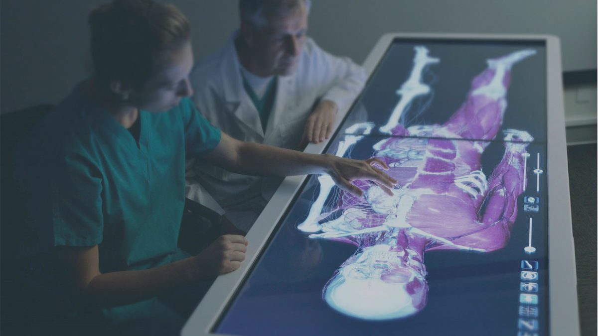 Why It Is Important to Have an Interactive 3D Anatomy Table in Any Hospital