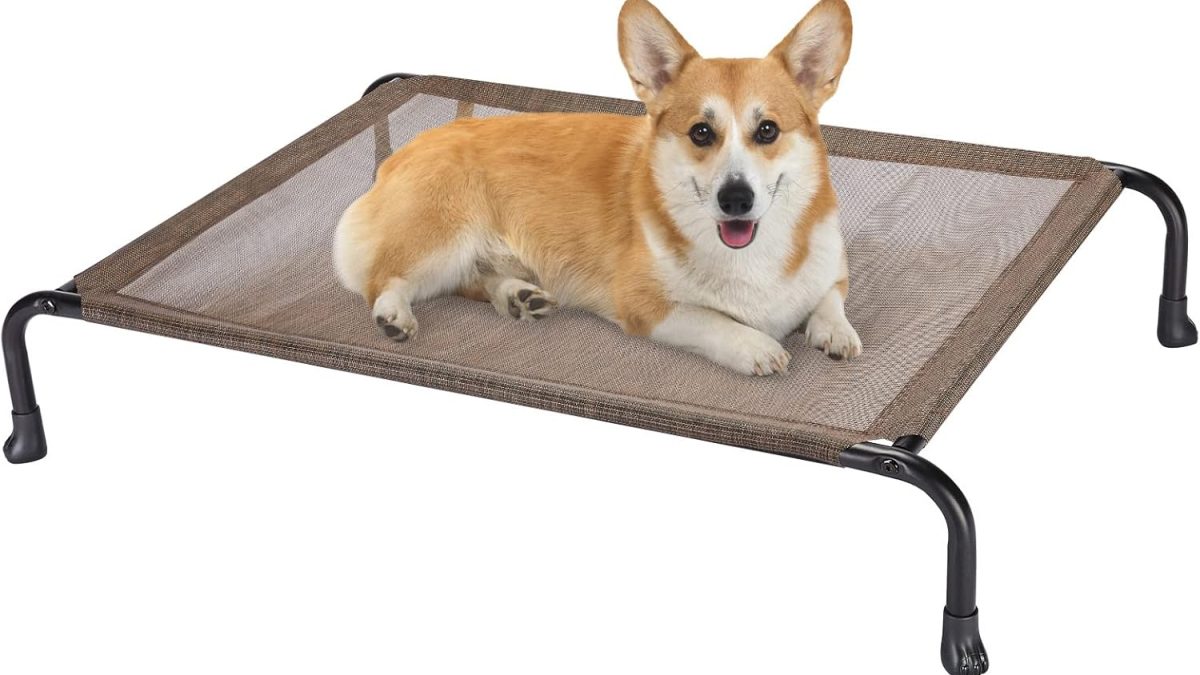 Enhancing Pet Health with the Right Pet Bed