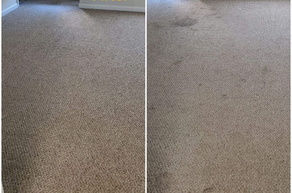 Carpet Restoration and Deep Cleaning Services: Make Your Home and Office Brighter Than Ever