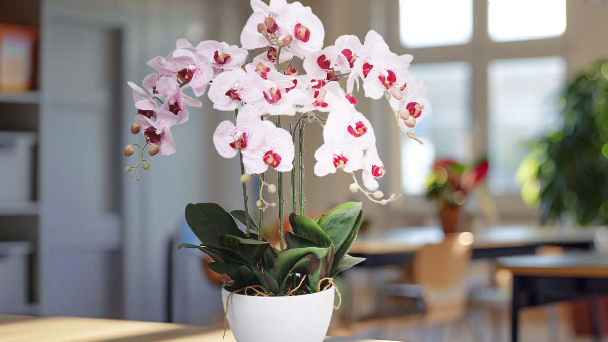 Fake Plants: The Secret to a Forever Green Melbourne Home