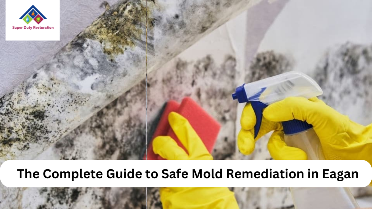 The Complete Guide to Safe Mold Remediation in Eagan